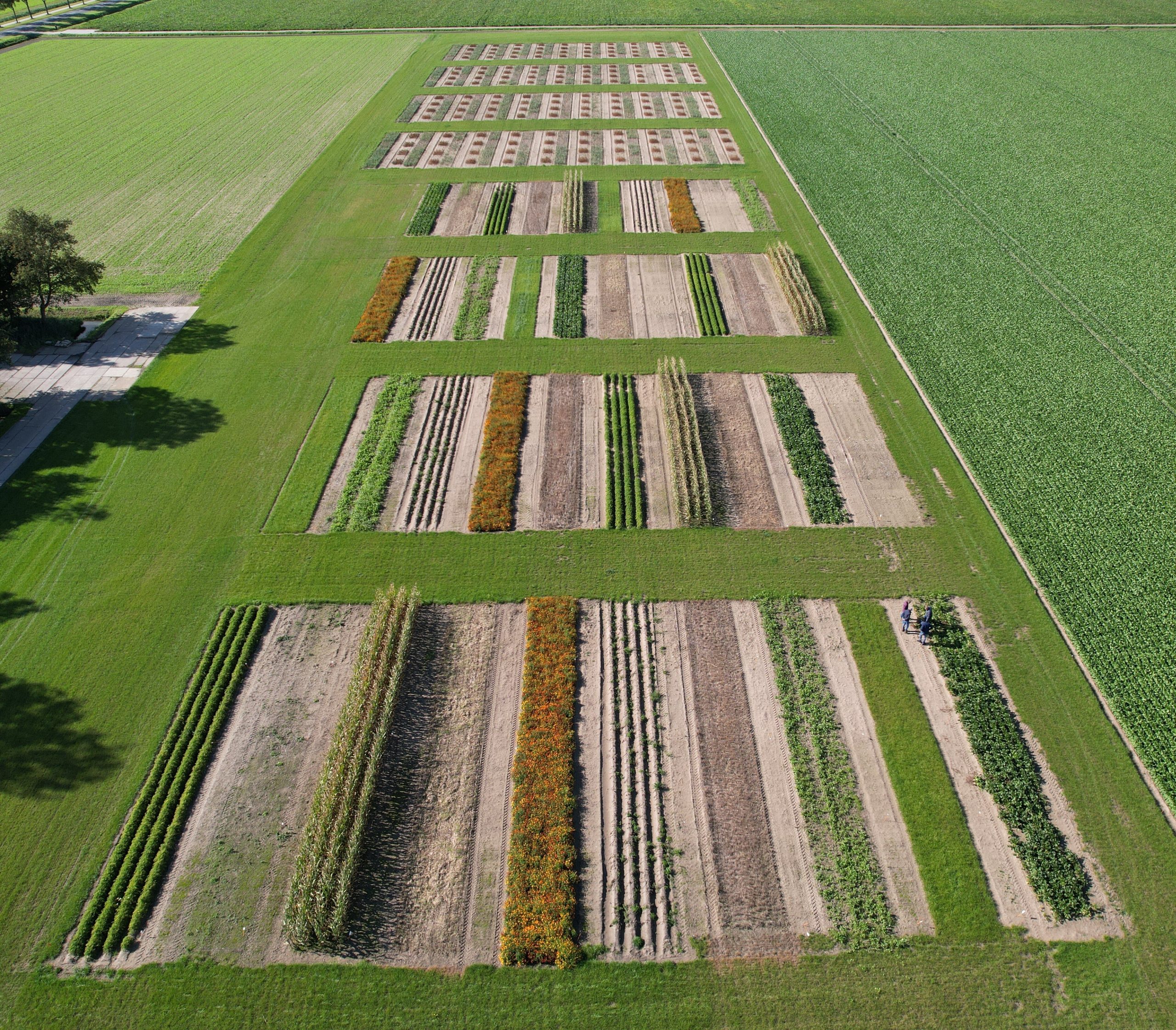 Eindbijeenkomst PPS @Bollen, Bodem & Aaltjes